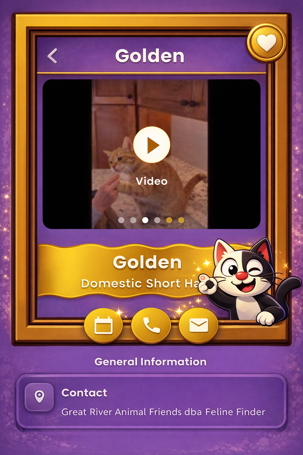 Cat videos and profile preview